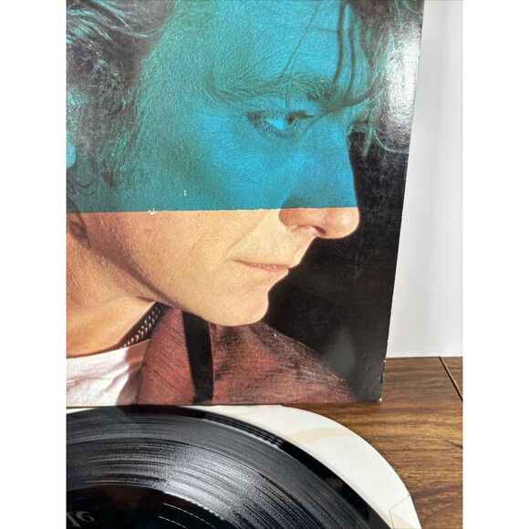 Robert Plant Little By Little EP 12" Vinyl Record -Collectors Edition A1 90485 - Picture 9 of 13